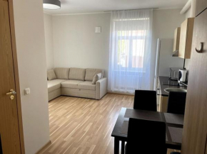 Cozy apartment near the city center, Lembitu